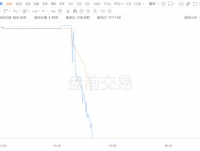 联合包裹盘前跌逾12% Q4营收及2025年营收指引逊预期