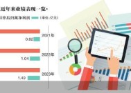 新恒汇IPO“卡壳” 虞仁荣A股第二子空悬