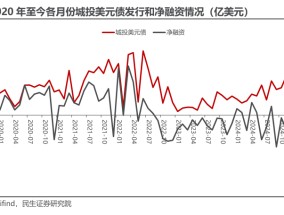 2024年城投公司境外发债“热情不减”：高利率难阻美元债发行放量，点心债“异军突起”