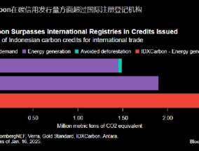 报告：印尼将向全球买家供应国内碳信用
