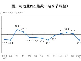 1月份制造业PMI为49.1%，比上月下降1个百分点