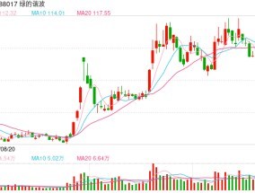 80岁老人豪掷5000万元 参与百元股定增！目前浮盈已达608万元