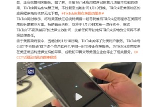 TikTok在美依然无法下载