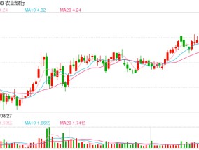 农业银行等两家国有大行H股 开年即获险资增持