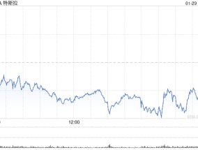 特斯拉第四季度营收257.07亿美元 净利润同比下降71%