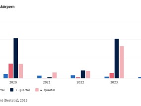 德国2024年烟花进口量持续增长 中国供应占据主导地位