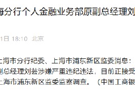 工商银行上海分行个人金融业务部原副总经理刘芸接受纪律审查和监察调查