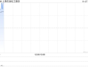 上海石油化工股份2024年度汽油销售收入293.86亿元