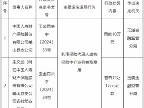 国寿财险峨山县支公司被罚10万元：利用保险代理人虚构保险中介业务套取费用