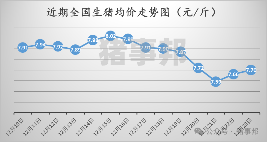 12月23日猪价汇总（稳中伴涨！）