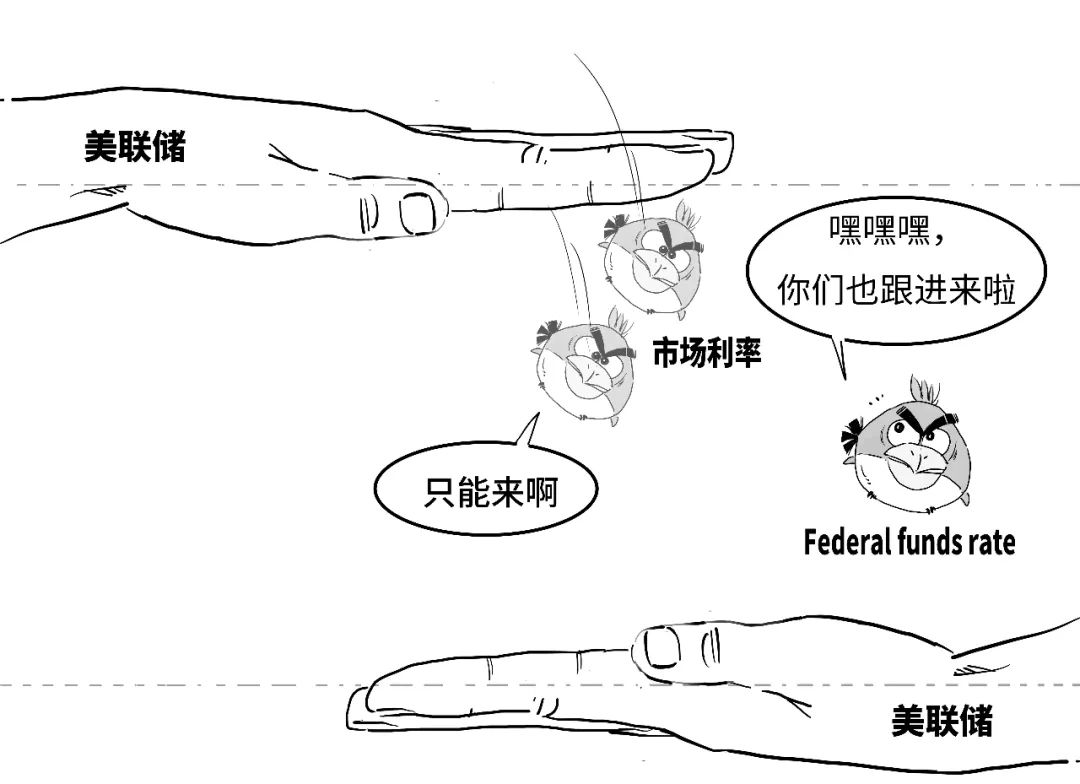 鹰派降息？3分钟搞懂美联储咋降的息！