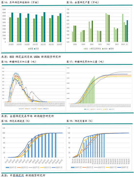 新湖农产（棉花）2025年报：不经一番寒彻骨，怎得梅花扑鼻香