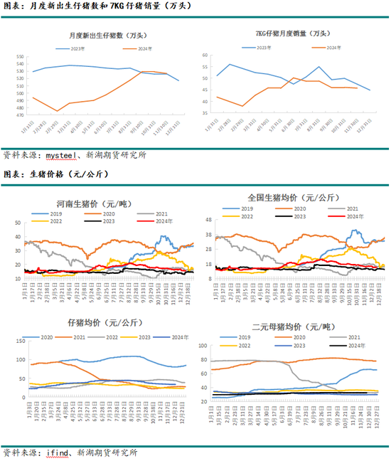 新湖农产（生猪）2025年报：夜深知雪重，时闻折竹声