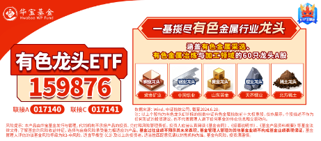 有色蓄势高飞！有色龙头ETF（159876）盘中逆市涨超3%！铜、金、铝携手上攻，北方铜业涨停封板