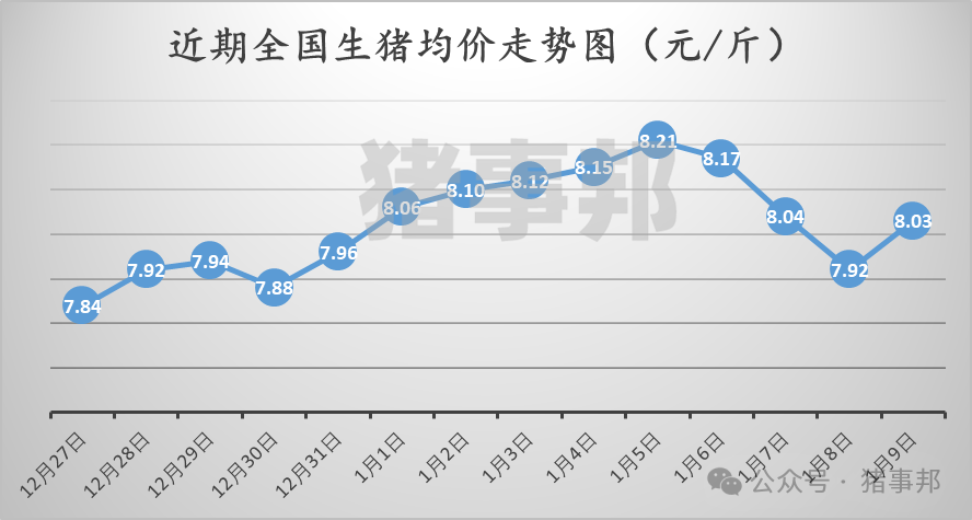 1月9日猪价汇总（北方大幅拉涨，但明日或再变！）