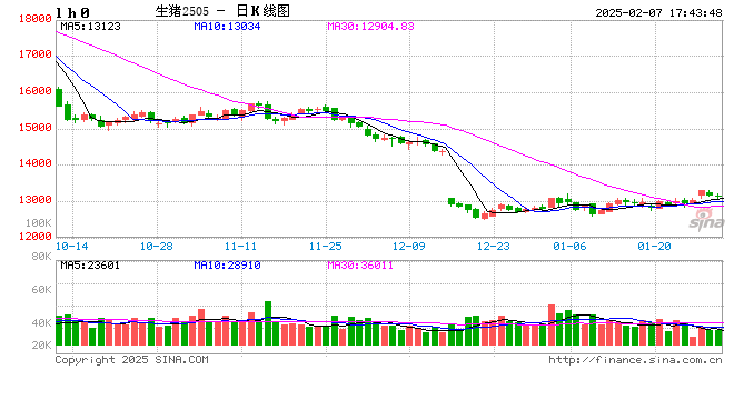 每日猪讯2.7